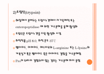 [응용효소학] 단백질 분해효소 급원에 따른 분류-4
