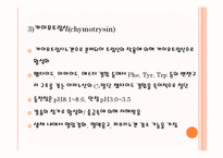 [응용효소학] 단백질 분해효소 급원에 따른 분류-5