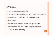 [응용효소학] 단백질 분해효소 급원에 따른 분류-9