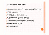 [응용효소학] 단백질 분해효소 급원에 따른 분류-11