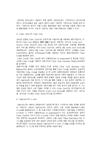 전자화폐) 전자화폐의 개념과 종류 및 발전현황, 각국 동향-10