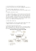 전자화폐) 전자화폐의 개념과 종류 및 발전현황, 각국 동향-11