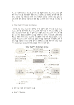 전자화폐) 전자화폐의 개념과 종류 및 발전현황, 각국 동향-14