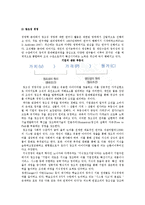 창조성 중심의 조직행동-9