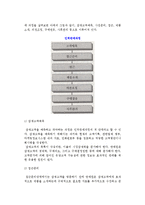 (촉진관리) 마케팅 커뮤니케이션 과정과 촉진믹스전략-8