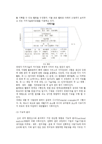 [내적환경] 기업 내적환경의 분석적 개념 및 정밀조사와 분석-10