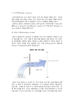 [내적환경] 기업 내적환경의 분석적 개념 및 정밀조사와 분석-15