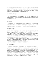 [사이버마케팅] 인터넷마케팅의 정의와 장단점, 방법, 도구 및 인터넷 마케팅 전략과 믹스-13