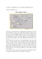 글로벌 기업전략(글로벌 사업다각화, 해외시장선택 전략)-11