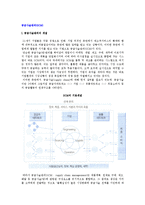 공급사슬관리(SCM)의 개념과 중요성 및 효과, 공급사슬관리 성공요소-2