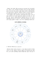 전략적 계획의 단계와 계획과정의 조직화-4