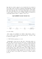 전략적 계획의 단계와 계획과정의 조직화-6