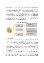 국제 전략적 제휴의 개념과 동기, 유형 및 성공적인 전략적제휴 조건-8