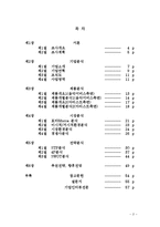 SM엔터테인먼트의 2011년 성공적인 해외진출과 한류 마케팅 전략의 성공 비결과 시사점, 향후전략-2