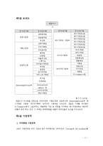 SM엔터테인먼트의 2011년 성공적인 해외진출과 한류 마케팅 전략의 성공 비결과 시사점, 향후전략-11