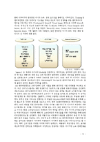 SM엔터테인먼트의 2011년 성공적인 해외진출과 한류 마케팅 전략의 성공 비결과 시사점, 향후전략-12