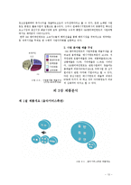 SM엔터테인먼트의 2011년 성공적인 해외진출과 한류 마케팅 전략의 성공 비결과 시사점, 향후전략-13