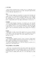 SM엔터테인먼트의 2011년 성공적인 해외진출과 한류 마케팅 전략의 성공 비결과 시사점, 향후전략-17
