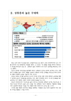 [인도]인도시장의 성장과 향후 전망 보고서-4