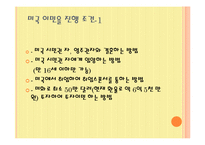 미국의 이민 레포트-5