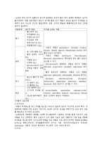 [노인간호]노인에게 약물 투여시 주의사항 및 문제, 간호방법-2