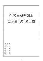 한국노사관계의 문제점 및 로드맵-1