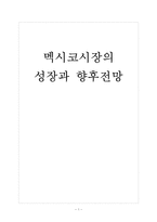 [멕시코]멕시코시장의 성장과 향후전망 보고서-1