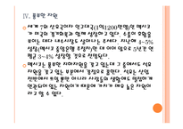[멕시코]멕시코시장의 성장과 향후전망 PPT자료-12