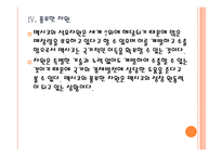 [멕시코]멕시코시장의 성장과 향후전망 PPT자료-13