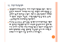 [멕시코]멕시코시장의 성장과 향후전망 PPT자료-17