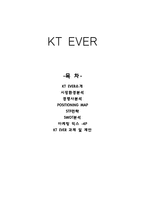 마케팅조사 KT EVER-1