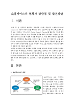 [소셜커머스] 소셜커머스의 현황과 시장동향 및 발전방안-소셜커머스장점, 소셜커머스단점-3