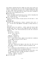 [전격 마케팅 및 사업계획서]에버랜드와 성공사례-16