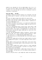 [전격 마케팅 및 사업계획서]에버랜드와 성공사례-19
