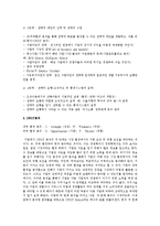 일반적인 경영전략의 구성개념과 한국 IT기업의 경영전략 수립-2