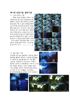 영화 중경삼림 작품분석-10
