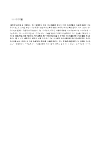 [마케팅] 시장 세분화와 목표시장 설정, 포지셔닝에 대한 고찰과 사례 분석-9