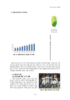 [스포츠마케팅] FC서울의 스포츠 마케팅-12