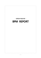 [경영정보] BPM의 개념과 성공사례, 개선사례, 오류 및 해결방안-1