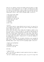 미스터피자 마케팅전략-8
