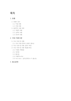 [물류관리론] 국내 의류시장의 유통경로 조사-2