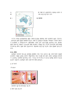 로레알 현지화 전략-9