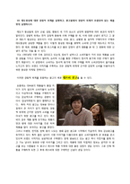 광고와 소비자 레포트-10