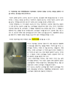 광고와 소비자 레포트-17