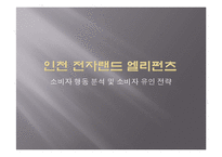 농구팀 `인천 전자랜드 엘리펀츠`의 소비자 행동 분석 및 소비자 유인 전략-1