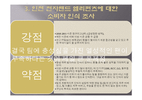 농구팀 `인천 전자랜드 엘리펀츠`의 소비자 행동 분석 및 소비자 유인 전략-12