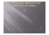 농구팀 `인천 전자랜드 엘리펀츠`의 소비자 행동 분석 및 소비자 유인 전략-13