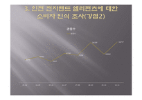 농구팀 `인천 전자랜드 엘리펀츠`의 소비자 행동 분석 및 소비자 유인 전략-14