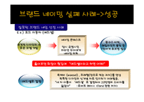 상표전략(브랜드 네이밍)-12