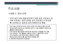[경영정보론. MIS] CMM(Capability Maturity Model)-11